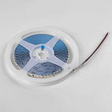фото Лента белого свечения 24V Lightstar 420824