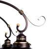 фото Потолочная люстра Arte Lamp GRAZIOSO A4577PL-8CK