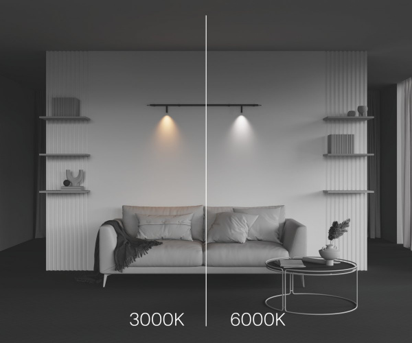 фото Светильник Maytoni Technical Focus LED C102CL-3W3-6K-B, черный