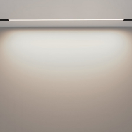 фото Трековый светильник Maytoni Technical Basis TR030-2-30W4K-B, черный