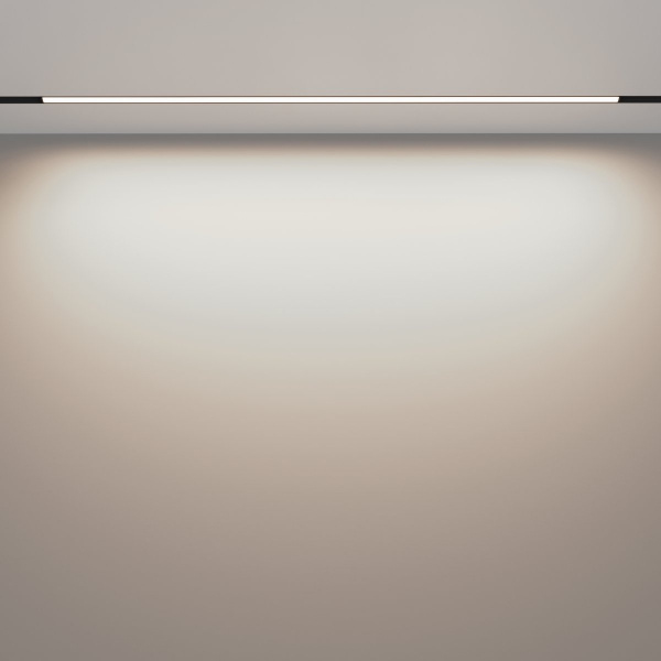 фото Трековый светильник Maytoni Technical Basis TR030-2-30W4K-B, черный