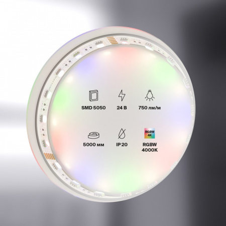 фото Светодиодная лента 24В 5050 19,2Вт/м Цветная (RGB) + 4000K 5м IP20 Maytoni 10180, белый