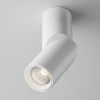 фото Потолочный светильник Maytoni Technical Dafne C027CL-L10W4K, белый
