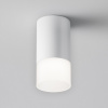 фото Потолочный светильник Maytoni Technical Pauline C007CW-01W, белый