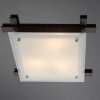фото Потолочный светильник Arte Lamp ARCHIMEDE A6462PL-3CK