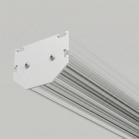 фото Slim Magnetic Заглушки для шинопровода в натяжной потолок 85204/00 белый 2 шт. 85206/00