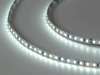 Светодиодная лента 2835, 120 LED/м, 9,6 Вт/м, 24В, IP20, 3M, Цвет: Холодный белый, SWG2120-24-9.6-W-M, катушка 5 м