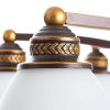 фото Подвесная люстра Arte Lamp BONITO A9518LM-8BA