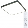 фото Потолочный светильник Arte Lamp SCENA A2669PL-1BK