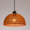 фото Подвесной светильник Arte Lamp BRUSHWOOD A7086SP-1BK