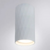 фото Точечный накладной светильник Arte Lamp FANG A5557PL-1WH