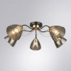 фото Потолочная люстра Arte Lamp LILY A4366PL-5BK