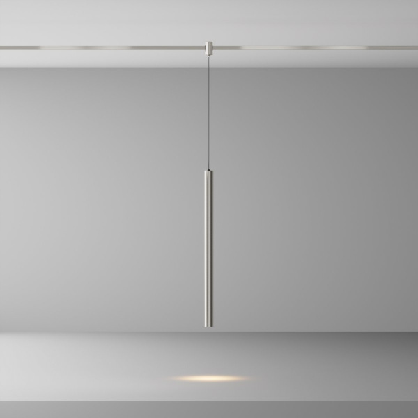 фото Трековый светильник Maytoni Technical Focus Led TR156-1-5W3K-PT, платина