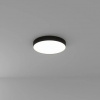 фото Потолочный светильник Arte Lamp FADO A7350PL-1BK