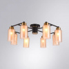фото Потолочная люстра Arte Lamp LEO A7027PL-8BK
