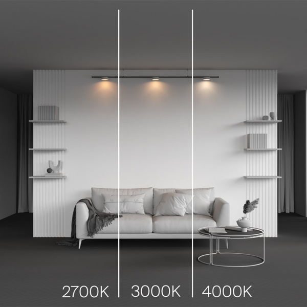 фото Трековый светильник Maytoni Technical Zon TR189-1-12W4K-BW, черный