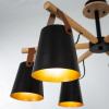 фото Потолочная люстра Arte Lamp THOMAS A7032PL-6BK
