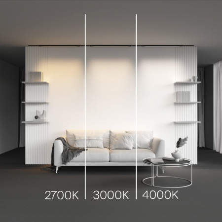 фото Трековый светильник Maytoni Technical Basis TR192-1-21W3K-B, черный