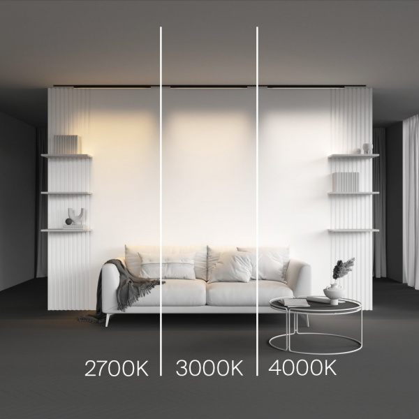 фото Трековый светильник Maytoni Technical Basis TR192-1-21W3K-B, черный