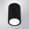 фото Уличный потолочный светильник Arte Lamp TORCULAR A1807PF-1BK