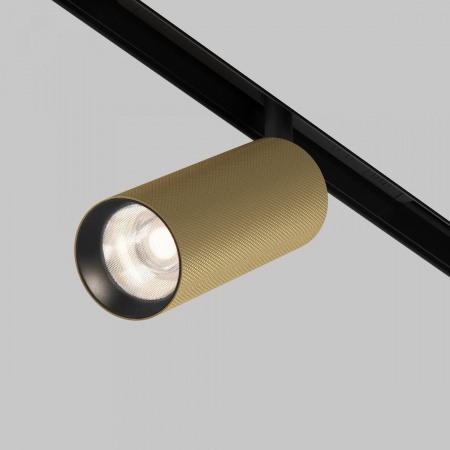 фото Трековый светильник Maytoni Technical Artisan TR097-2-12W4K-M-BMG, черный