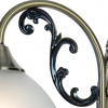 фото Бра Arte Lamp SPICA A3037AP-1AB