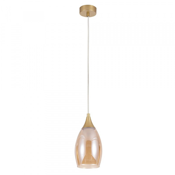 Подвесной светильник Arte Lamp BARRY A7951SP-1GO
