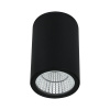 Уличный потолочный светильник Arte Lamp TORCULAR A1807PF-1BK