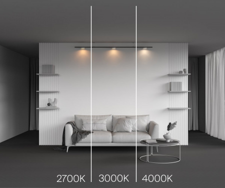 фото Трековый светильник Maytoni Technical Zon TR189-1-12W2.7K-BW, черный