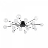 фото Потолочный светильник Freya Celebrity FR5242CL-16B1, черный
