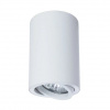 фото Точечный накладной светильник Arte Lamp SENTRY A1560PL-1WH