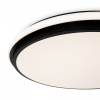 фото Потолочный светильник Freya FR6086CL-L117B, черный
