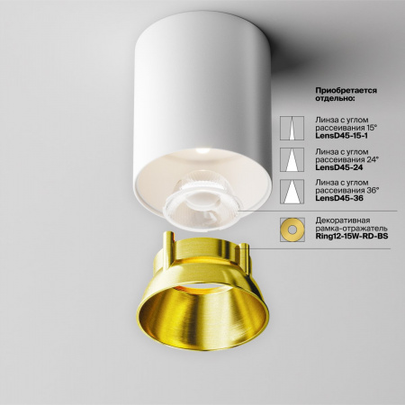 фото Потолочный светильник Maytoni Technical Alfa LED C064CL-12W4K-RD-WB, белый