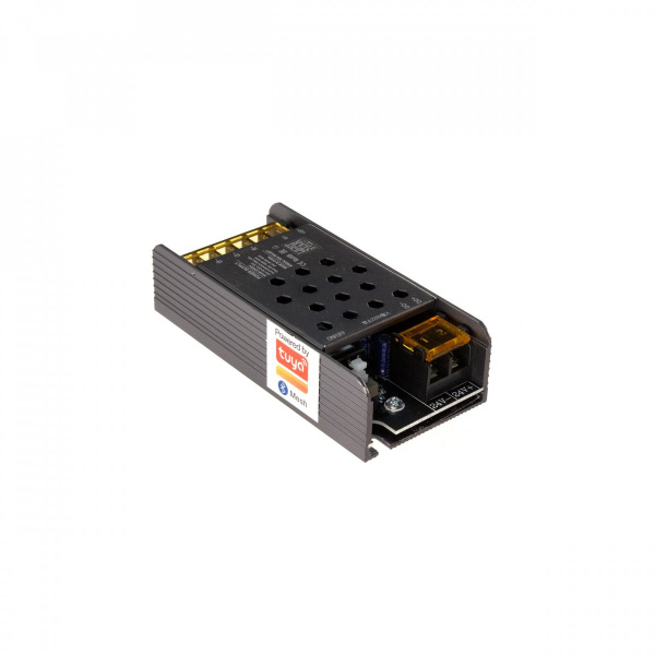 фото Контроллер для управления лентой RGB+4000К (4 цвета) 240W Lightstar 424904
