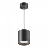 фото Подвесной светильник Maytoni Polar P088PL-GX53-B, черный