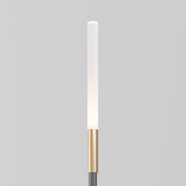 фото Ландшафтный светильник Maytoni Outdoor Flare S O524FL-L2B3K, черный