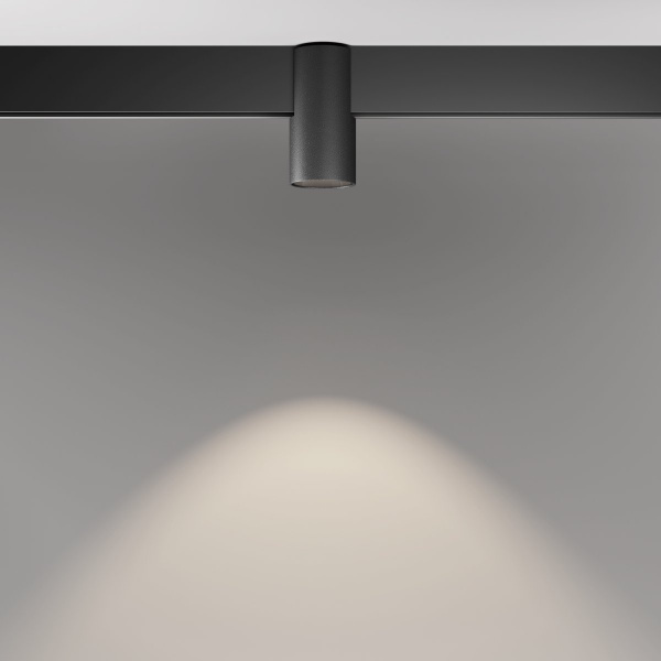 фото Трековый светильник Maytoni Technical Alfa TR122-2-7W4K-B, черный