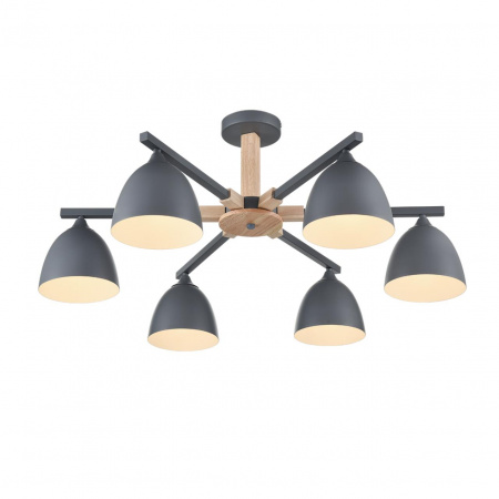 фото Серый/серый металл, дерево/металл Люстра потолочная Е27 6*60W 220V COLANGE MODERNI, арт. 8096/6C