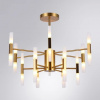 фото Люстра на штанге Arte Lamp Ramona A7410PL-24PB