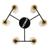 фото Потолочная люстра Arte Lamp LEO A7027PL-6BK