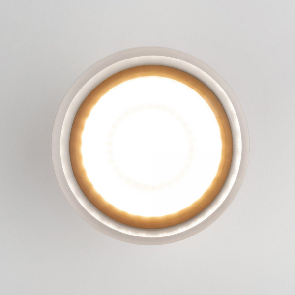 фото Уличный потолочный светильник Light LED 2107 IP54 35140/H черный