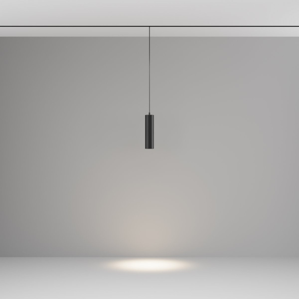 фото Трековый подвесной светильник Maytoni Technical Focus LED TR041-2-12W4K-B, черный