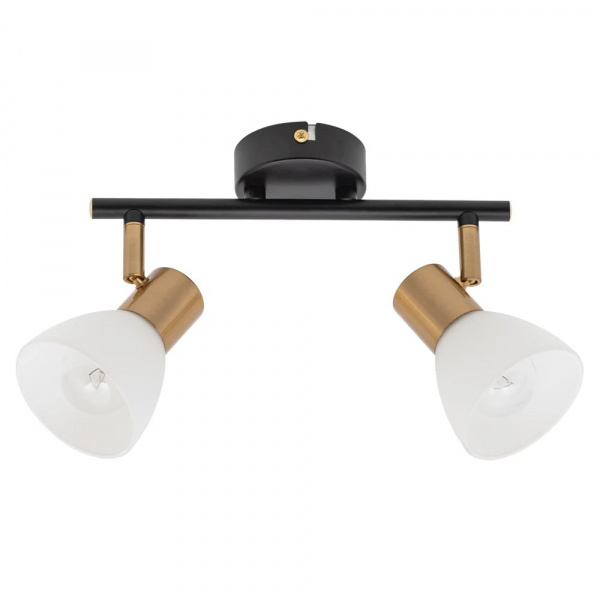 Спот Arte Lamp FALENA A3117PL-2BK