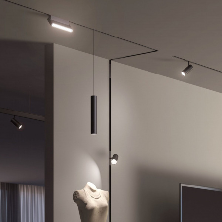 фото Slim Magnetic HL02 Трековый светильник 12W 4200K черный 85010/01