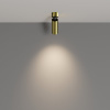 фото Потолочный светильник Maytoni Technical FOCUS LED C055CL-L12W4K-W-BS, латунь