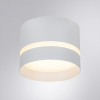 Точечный накладной светильник Arte Lamp IMAI A2265PL-1WH