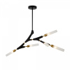 Потолочный светильник Freya Crown FR5213PL-05B, черный