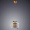 фото Подвесной светильник Arte Lamp MANCHESTER A7625SP-1AB