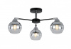 Люстра Freya FR5225PL-03B, черный