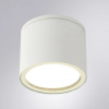 фото Уличный потолочный светильник Arte Lamp PIAUTOS A1913PF-1WH